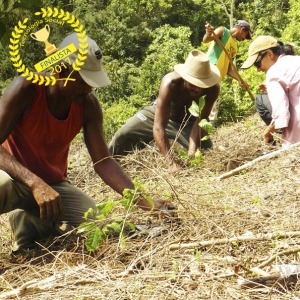 Comunidades tradicionais formam rede para o manejo agroecológico