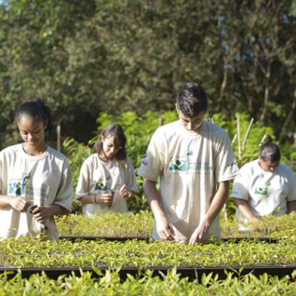 Projeto em Araras (SP) capacita jovens de baixa renda em produção de viveiros de plantas