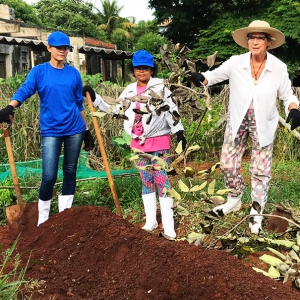 Mulheres em transformação por meio da agroecologia