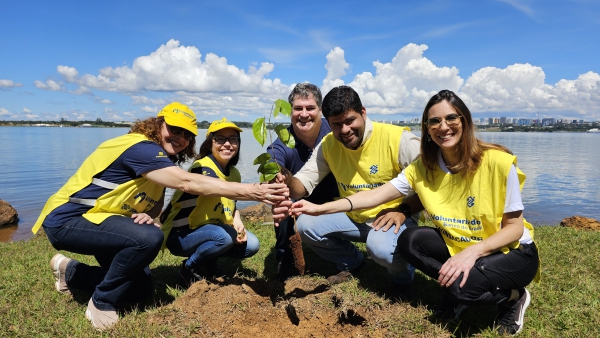 Junho: Mês do Meio Ambiente