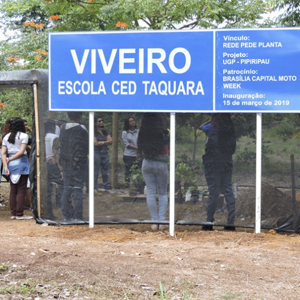 Projeto inaugura viveiro de mudas